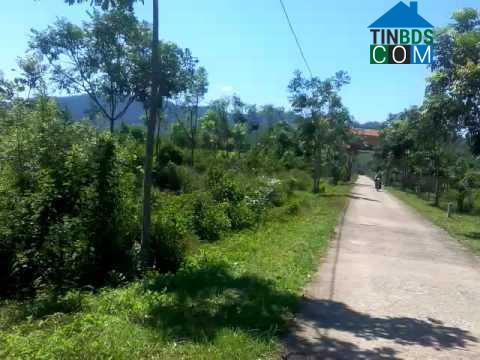 Hình ảnh Tuyên Lâm, Quảng Trị