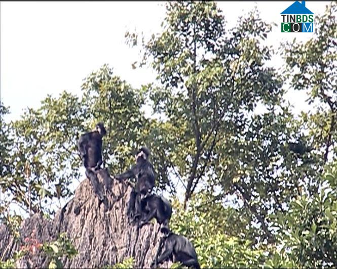 Hình ảnh Tuyên Phú, Quảng Trị