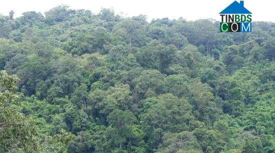 Hình ảnh Chiềng Hoa, Sơn La