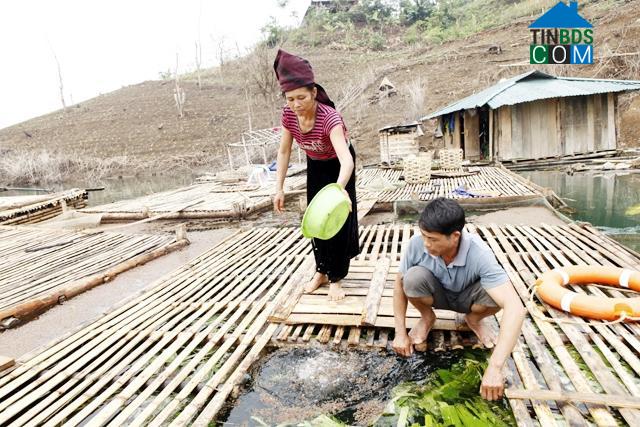 Hình ảnh Quỳnh Nhai, Sơn La