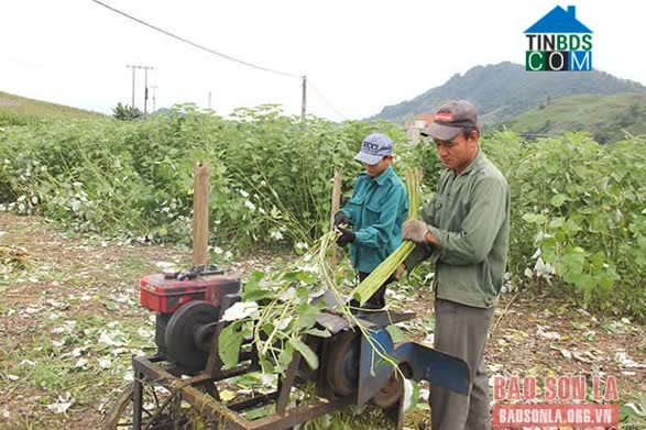Hình ảnh Song Khủa, Sơn La