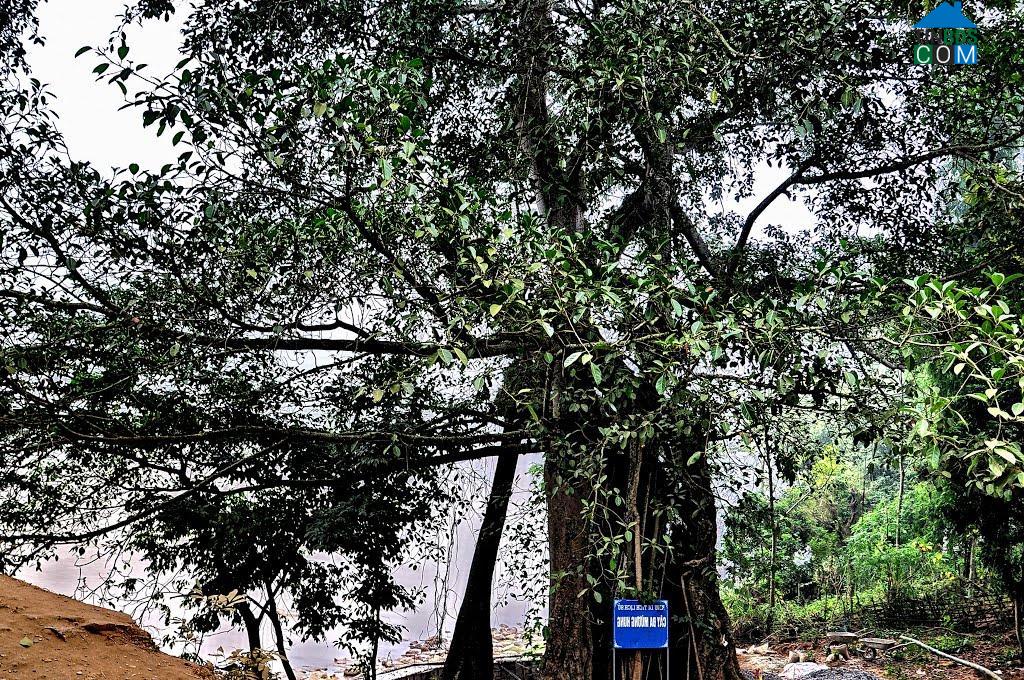 Hình ảnh Mường Hung, Sơn La