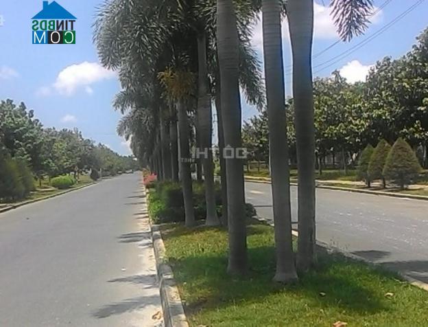 Hình ảnh Cần Giuộc, Tây Ninh