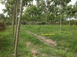 Hình ảnh An Tịnh, Tây Ninh