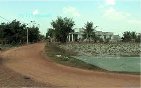 Hình ảnh Trà Vong, Tây Ninh