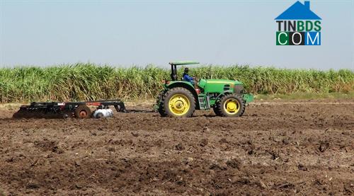 Hình ảnh Ninh Điền, Tây Ninh