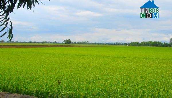 Hình ảnh Phước Chỉ, Tây Ninh