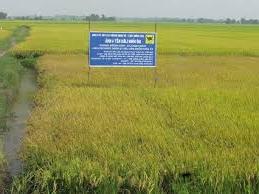 Hình ảnh Phước Thạnh, Tây Ninh