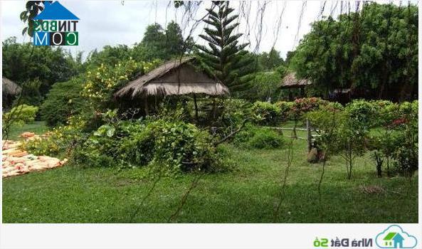 Hình ảnh Đức Lập, Tây Ninh