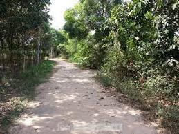 Hình ảnh Gia Lộc, Tây Ninh