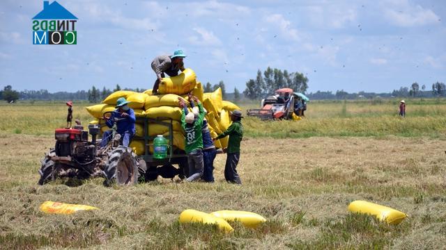 Hình ảnh Hưng Điền, Tây Ninh