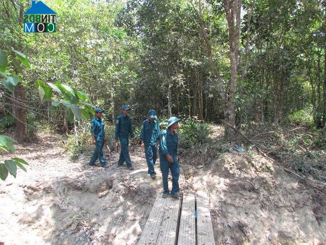 Hình ảnh Long Chữ, Tây Ninh