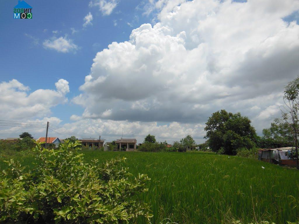 Hình ảnh Long Hựu, Tây Ninh