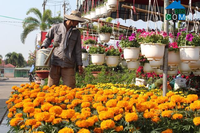 Hình ảnh Long An, Tây Ninh