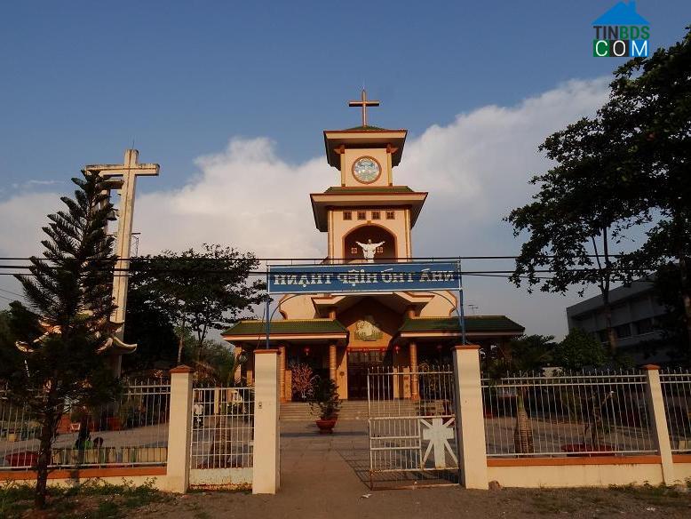 Hình ảnh Tầm Vu, Tây Ninh