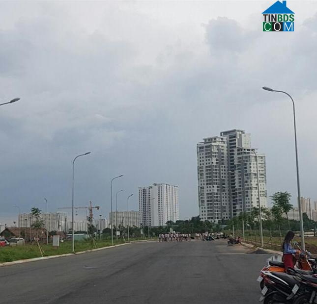 Hình ảnh Tân Hòa, Tây Ninh