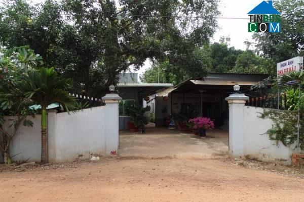 Hình ảnh Tân Phú, Tây Ninh