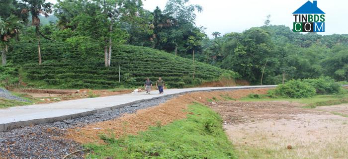 Hình ảnh Hợp Thành, Thái Nguyên