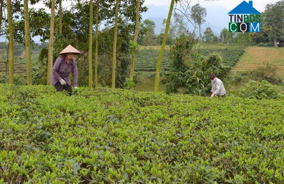 Hình ảnh La Bằng, Thái Nguyên