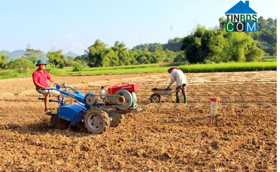 Hình ảnh Lam Vỹ, Thái Nguyên