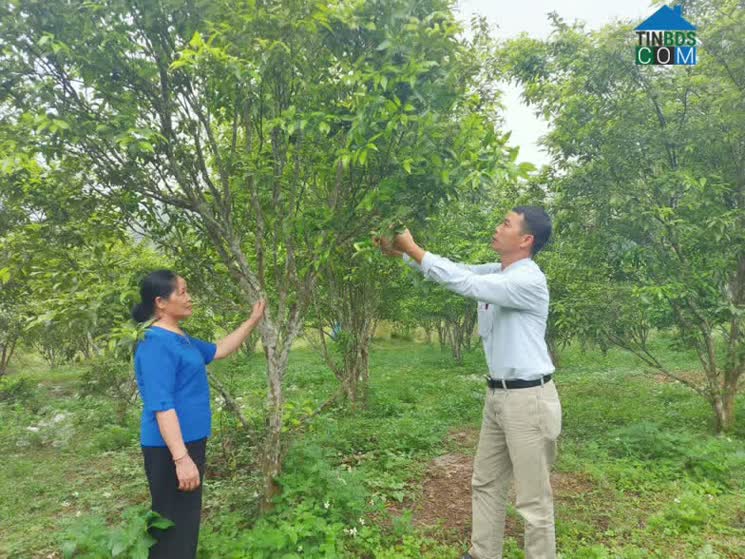 Hình ảnh Na Rì, Thái Nguyên