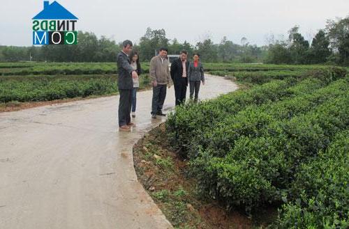 Hình ảnh Bá Xuyên, Thái Nguyên