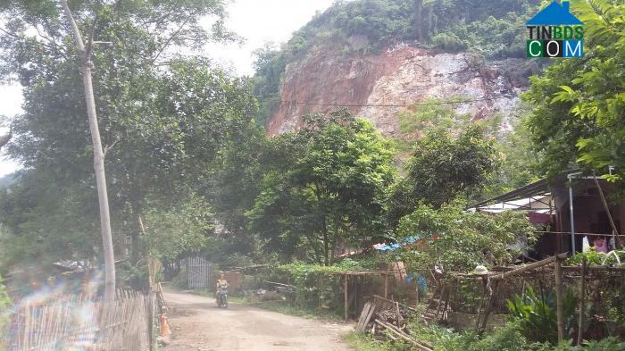 Hình ảnh Cẩm Giàng, Thái Nguyên