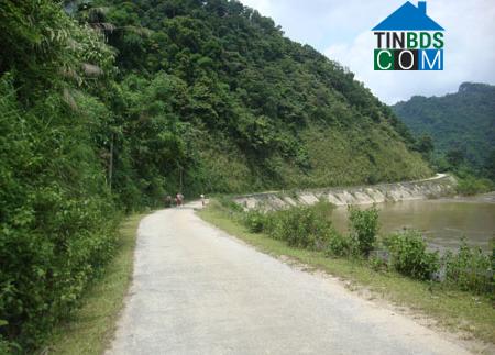 Hình ảnh Chợ Mới, Thái Nguyên