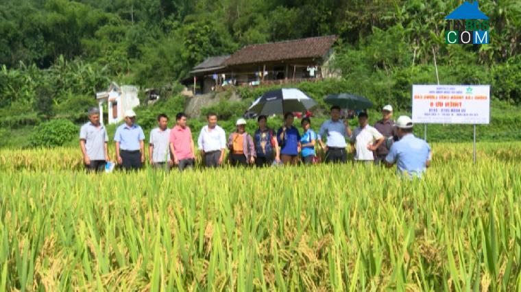 Hình ảnh Chợ Rã, Thái Nguyên