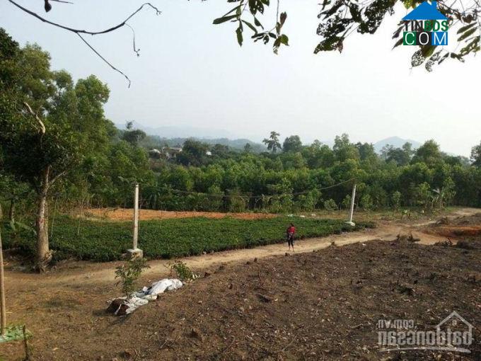 Hình ảnh Đại Phúc, Thái Nguyên