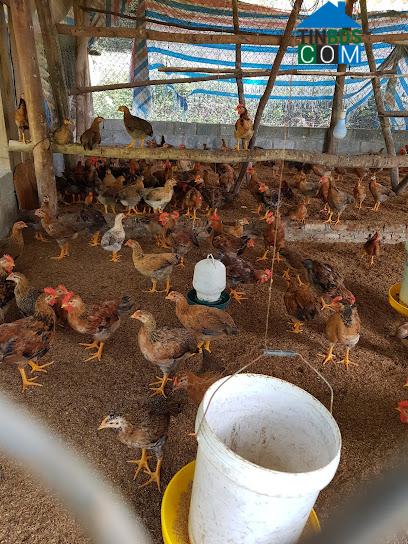 Hình ảnh Gia Sàng, Thái Nguyên