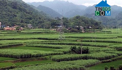 Hình ảnh Tân Kỳ, Thái Nguyên