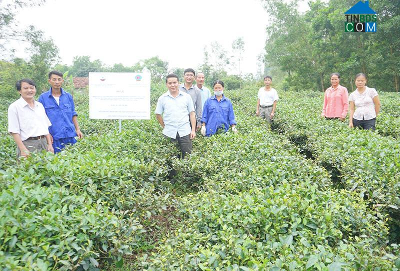 Hình ảnh Thành Công, Thái Nguyên