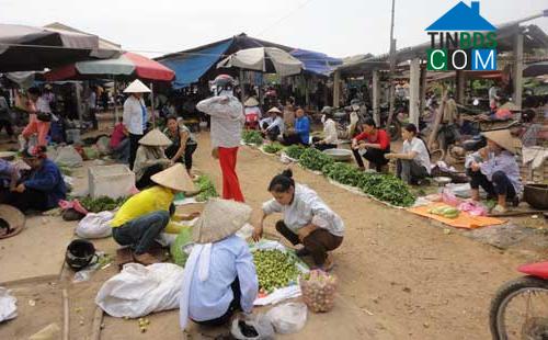 Hình ảnh Nam Hòa, Thái Nguyên