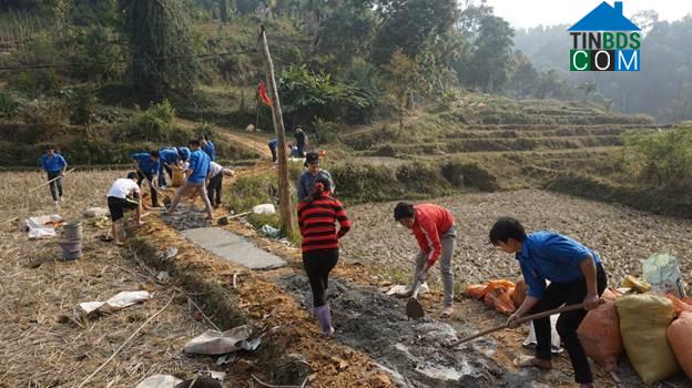 Hình ảnh Nghinh Tường, Thái Nguyên