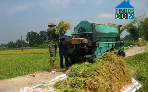 Hình ảnh Phổ Yên, Thái Nguyên