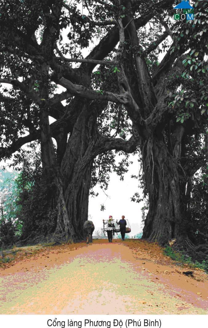 Hình ảnh Phú Bình, Thái Nguyên