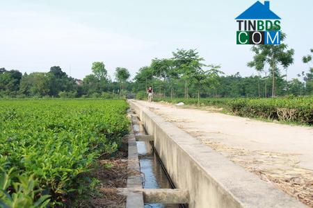 Hình ảnh Phúc Thuận, Thái Nguyên