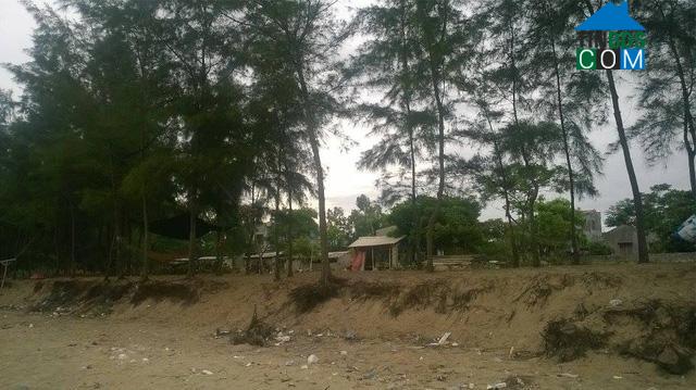 Hình ảnh Tiên Trang, Thanh Hóa