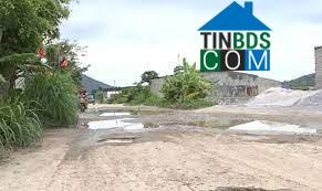 Hình ảnh Trúc Lâm, Thanh Hóa