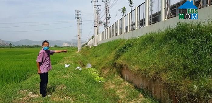 Hình ảnh Trường Lâm, Thanh Hóa