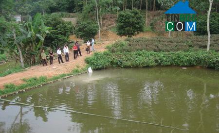 Hình ảnh Trung Hội, Thái Nguyên