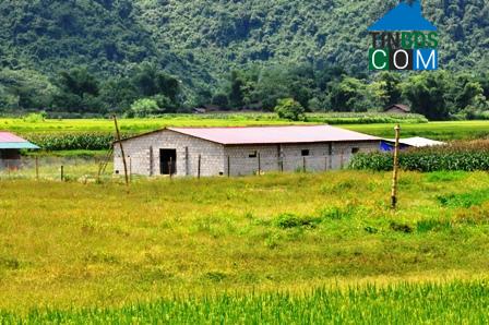 Hình ảnh Văn Lang, Thái Nguyên