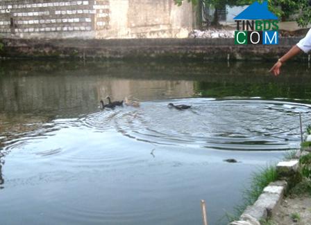 Hình ảnh Đông Sơn, Thanh Hóa