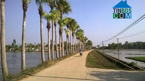 Hình ảnh Trường Văn, Thanh Hóa