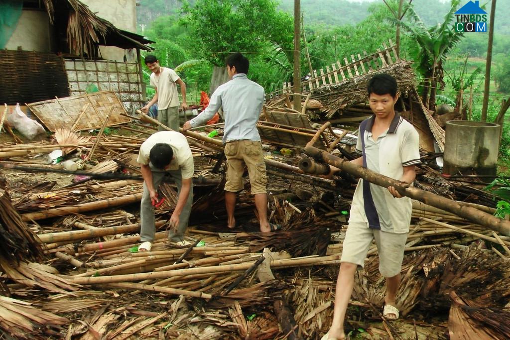 Hình ảnh Văn Phú, Thanh Hóa