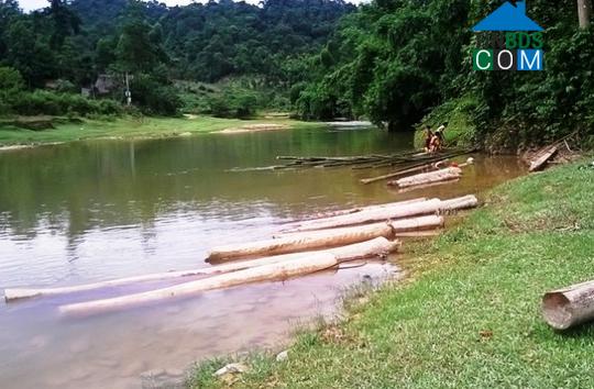 Hình ảnh Xuân Chinh, Thanh Hóa