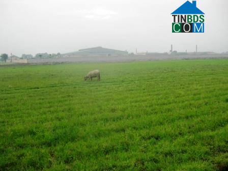 Hình ảnh Yên Định, Thanh Hóa