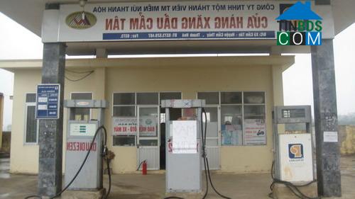 Hình ảnh Cẩm Tân, Thanh Hóa