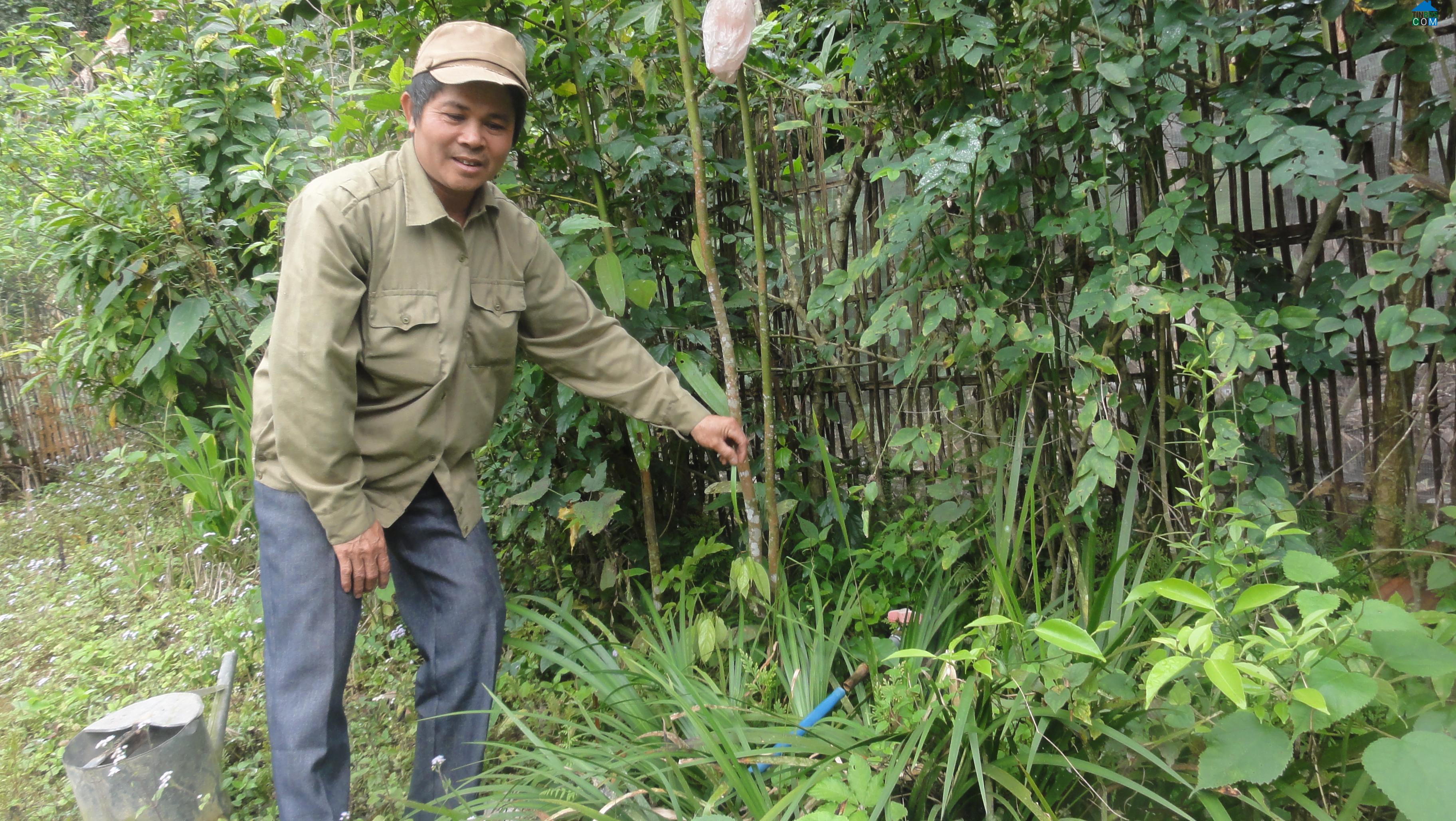 Hình ảnh Cẩm Thạch, Thanh Hóa